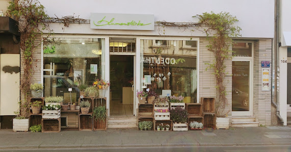 blumenstärke