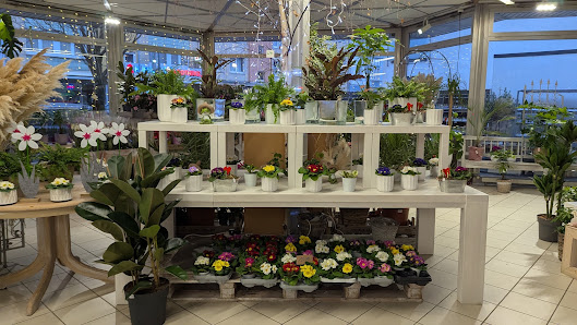 Blumen Holdack