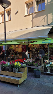 Blumen Risse Blumenladen Paderborn-Innenstadt