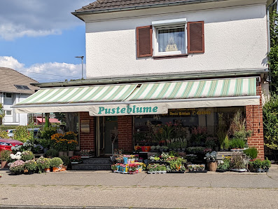 Pusteblume - Bergisch Gladbach