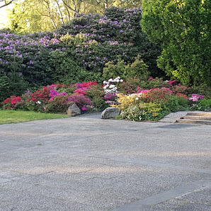 Michael Schneider Blumen und Friedhofsgärtnerei