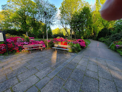 Michael Schneider Blumen und Friedhofsgärtnerei
