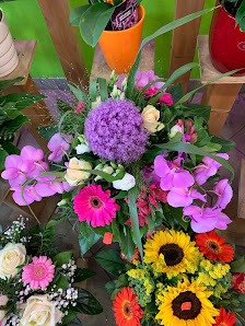 Happy Blumen und Pflanzen