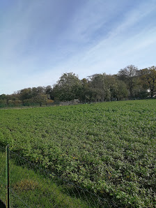 Garten- u. Landschaftsbau Nowak