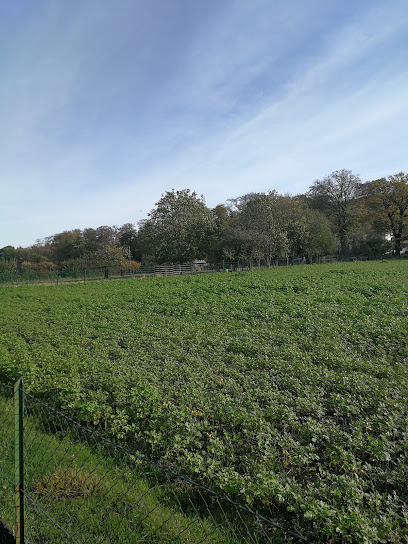 Garten- u. Landschaftsbau Nowak