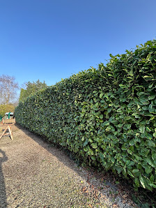 Gärtnerei Gulda - Gartenservice & Pflege