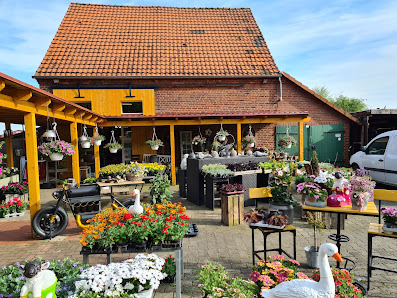 Bögge Floristik