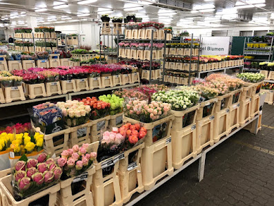 Nagel Blumen Cash & Carry