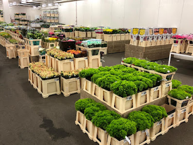 Nagel Blumen Cash & Carry