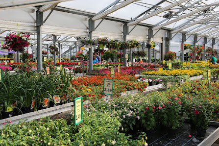 DELMANN Pflanzenhof & Blumenhaus