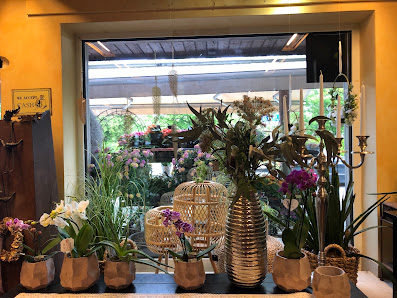 Blumen Advena