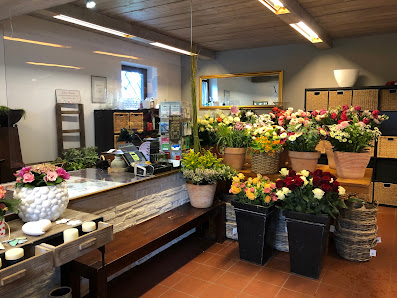 Blumen Advena
