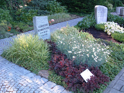Garten- & Landschaftsbau Melbert Meisterbetrieb