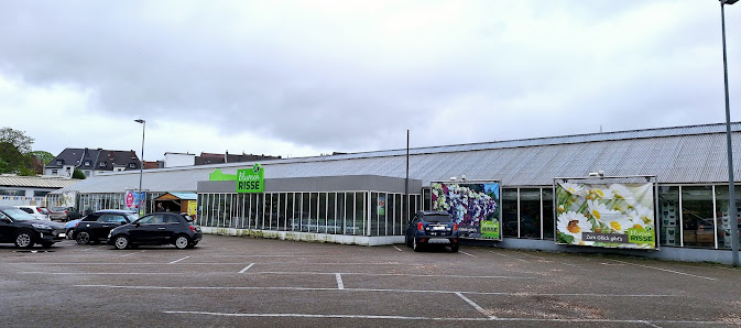 Blumen Risse Gartencenter Recklinghausen