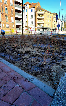 Garten- & Landschaftsbau Sopa