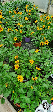 Heinrich Stork Gartenbaubetrieb - Datteln-Horneburg