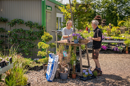 Plückebaum Baumschule & Gartenbau