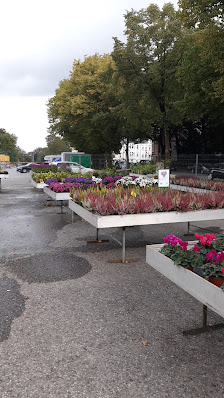 Gärtnerei Höpken auf dem Schützenplatz in Remscheid