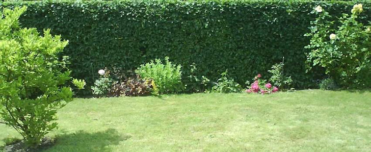 René Sebastian Grah Garten- und Landschaftsbau