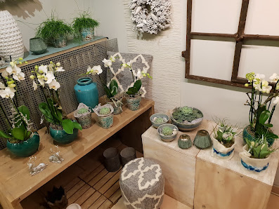 Blumen Kaimer