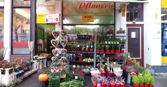 Blumen (Eck)