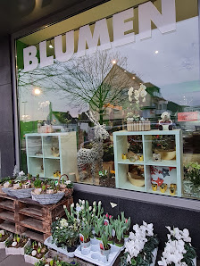 Blumen Ati
