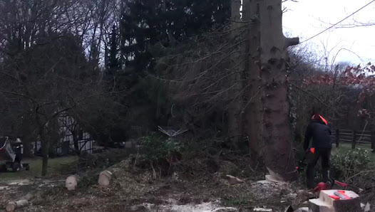 Baudienste Pache Garten- und Landschaftsbau, Galabau