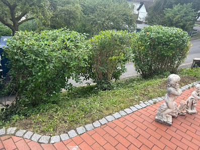 Garten-& Landschaftsbau Uhl