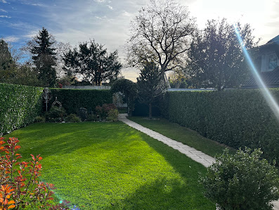 Grote Garten- & Grünpflege