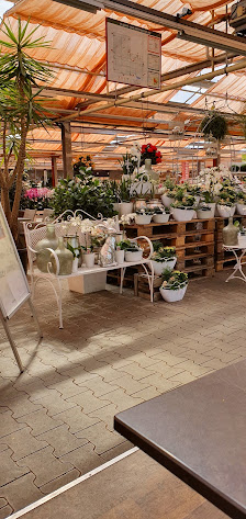 Blumen Risse Gartencenter Kreuztal