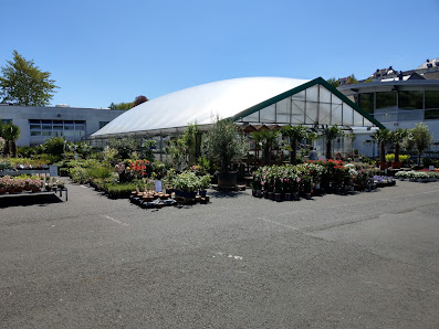 Blumen & Gartencenter Vier Jahreszeiten GmbH