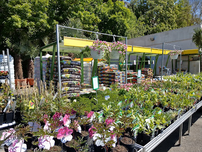 Blumen & Gartencenter Vier Jahreszeiten GmbH