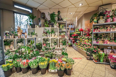 Blumen Spangenberg Moers