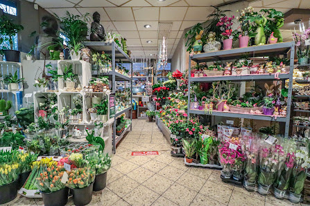 Blumen Spangenberg Moers