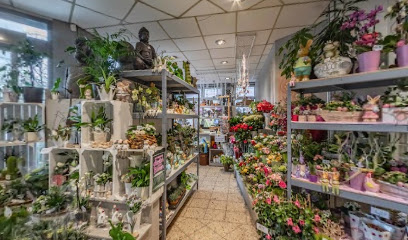 Blumen Spangenberg Moers