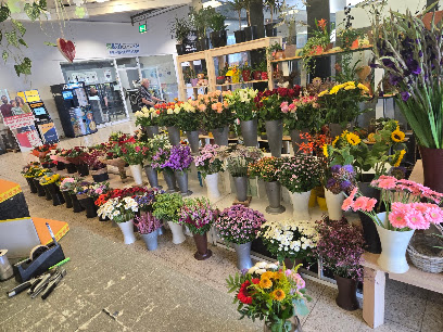 Blumen holleander