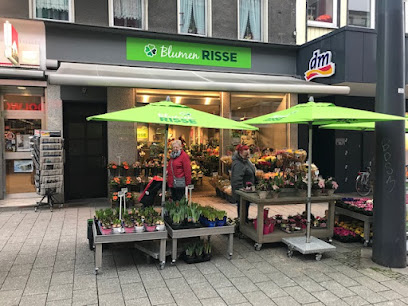 Blumen Risse Blumenladen Witten