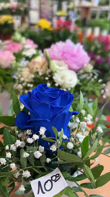 Blumenparadies Witten