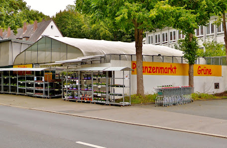Grazyna Pasternak Pflanzenmarkt Grüne
