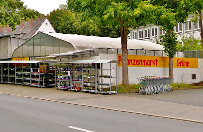 Grazyna Pasternak Pflanzenmarkt Grüne