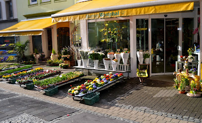 Blumen Westphal