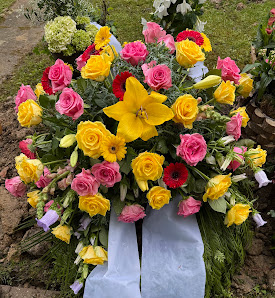Blumen Westphal