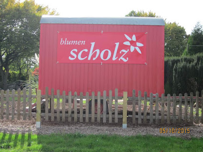 Blumen Scholz