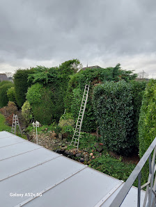 easyclean1 Gartenservice