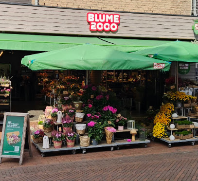 BLUME2000 Gütersloh