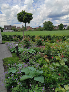 Bellis Gartenplanung