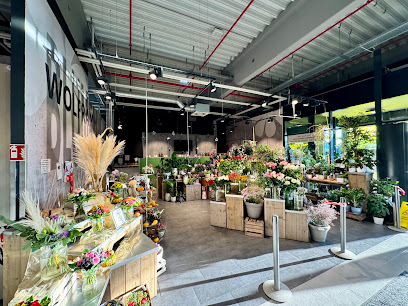 Blumen Wolframm GmbH