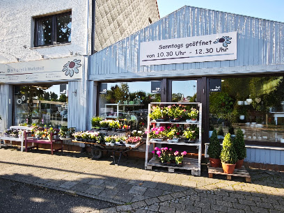 Blumen Kreativ Die Floristik-Werkstatt e.K.