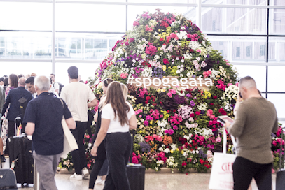 Eventfloristik.koeln - BLUMEN STEGUWEIT