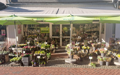 Blumen Risse Blumenladen Dinslaken